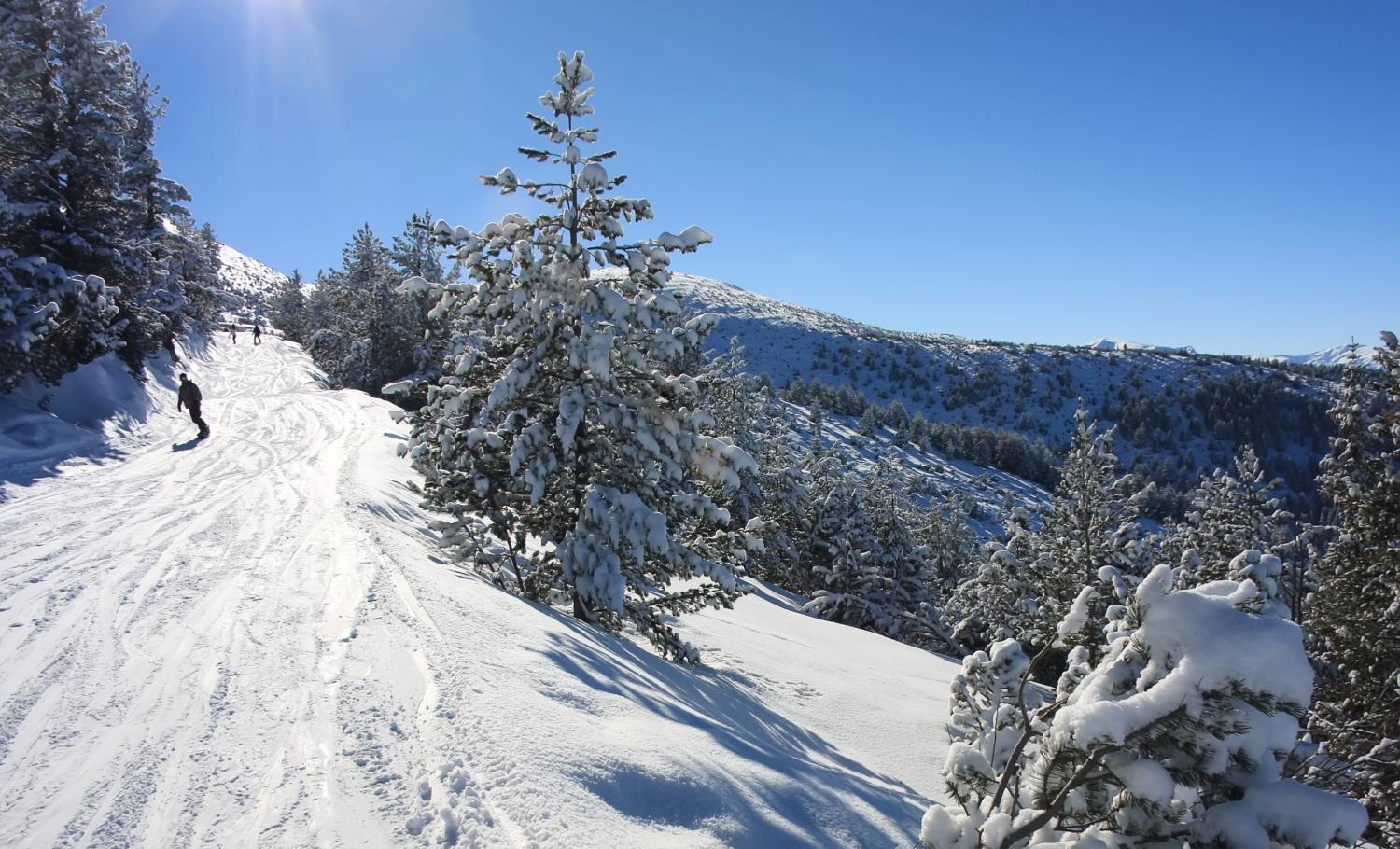 Charming One Bed Apartment 423 In Main Flora Building Borovets Eksteriør billede