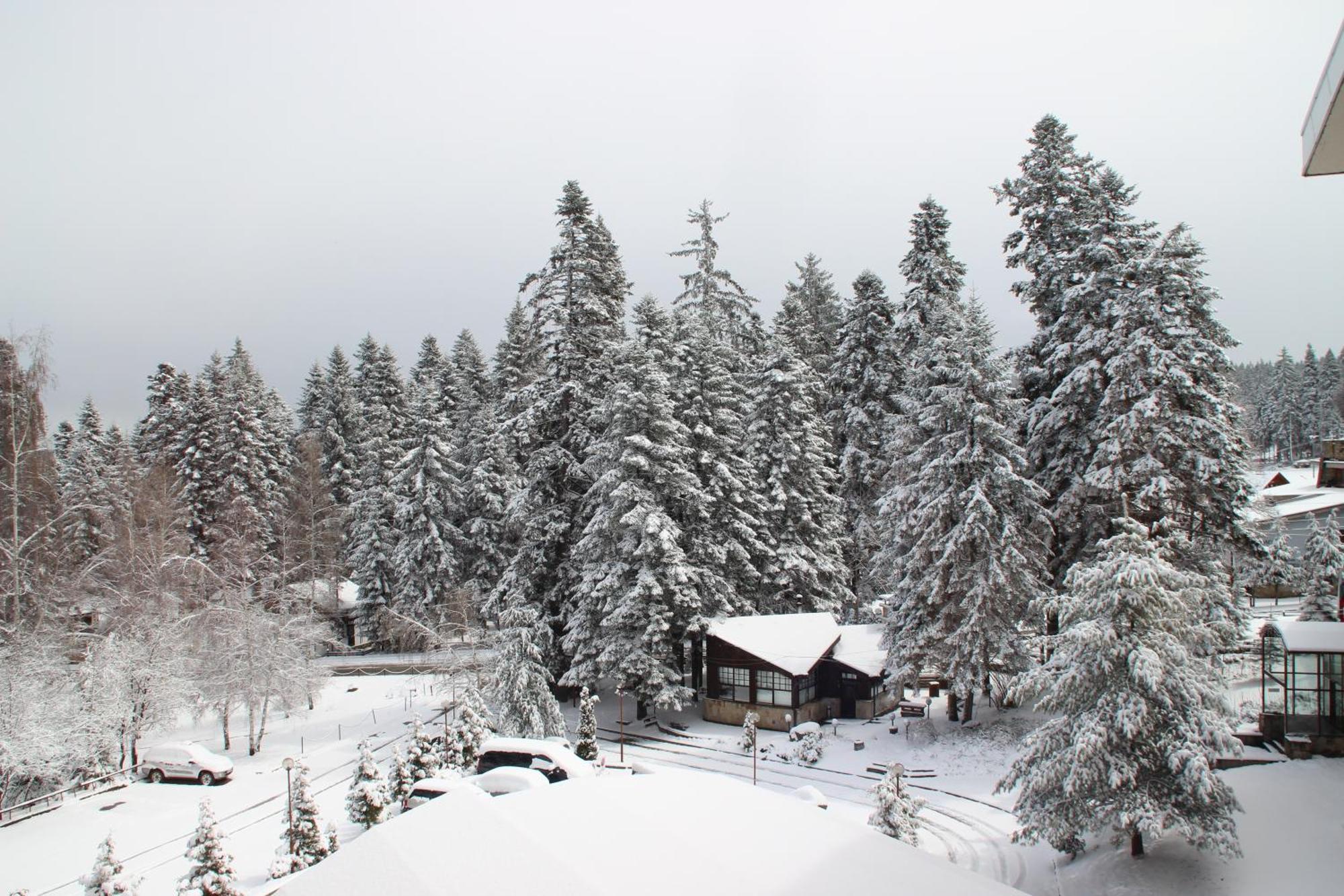Charming One Bed Apartment 423 In Main Flora Building Borovets Eksteriør billede